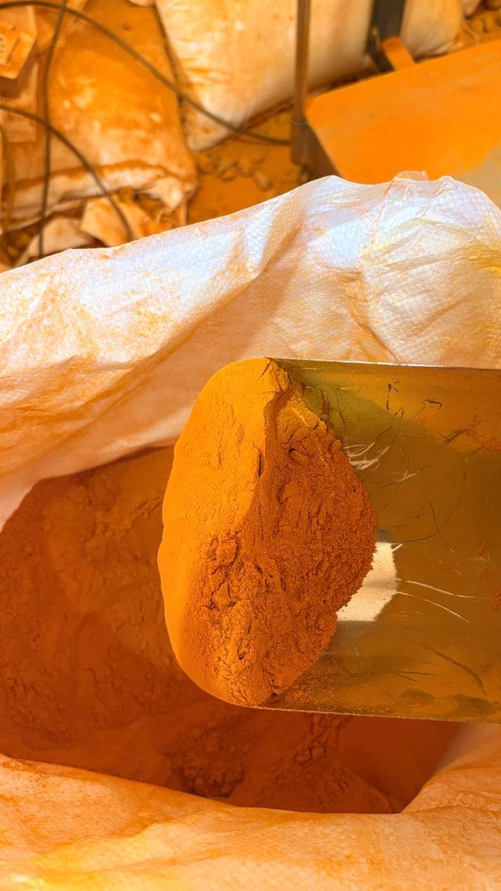 Turmeric 