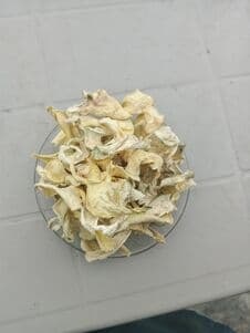 Dried raw papaya 
