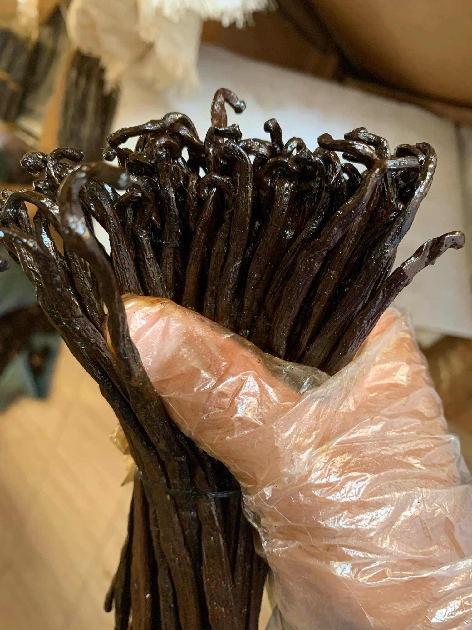 Madagascar Bourbon Vanilla Beans Grade A – Premium Gourmet Vanilla Planifolia for Food & Beverage Applications