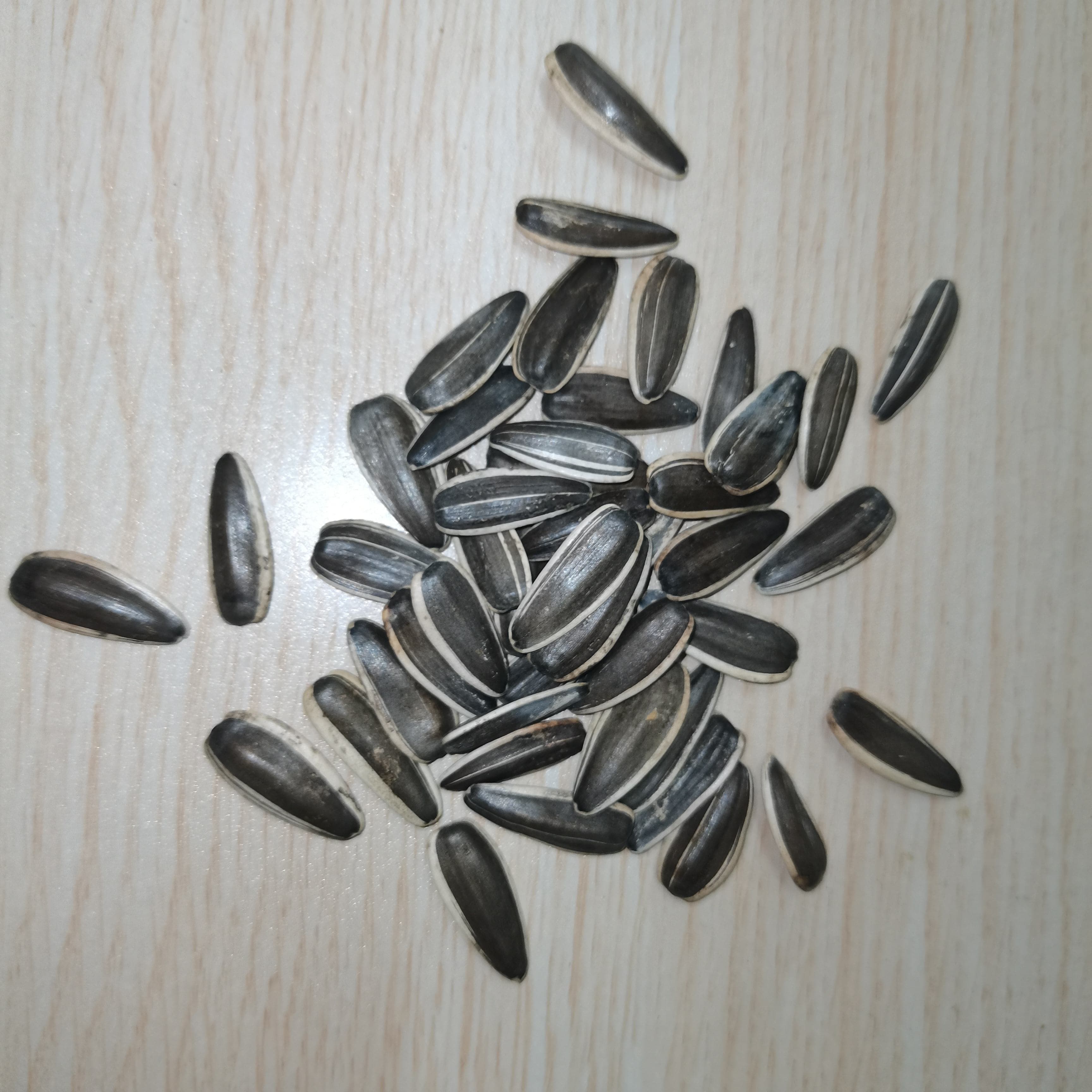 Hulled Sunflower Seeds Processing Grade Bulk